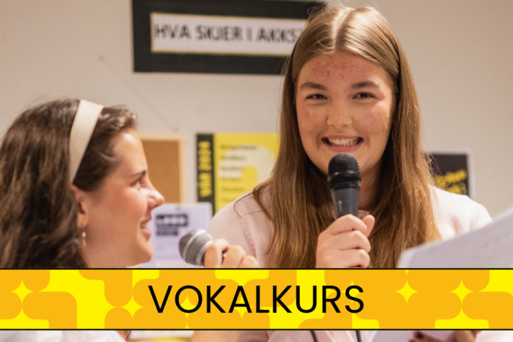 Vokalkurs